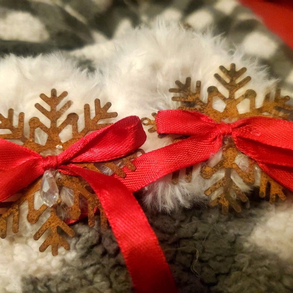 Homemade Christmas Ornaments